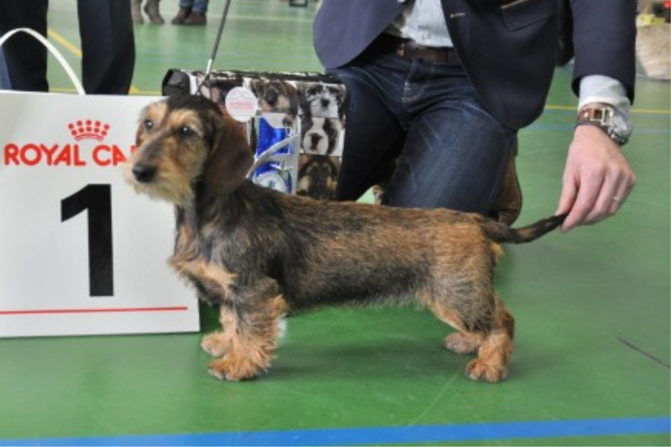 Utopia van de Hoefstal