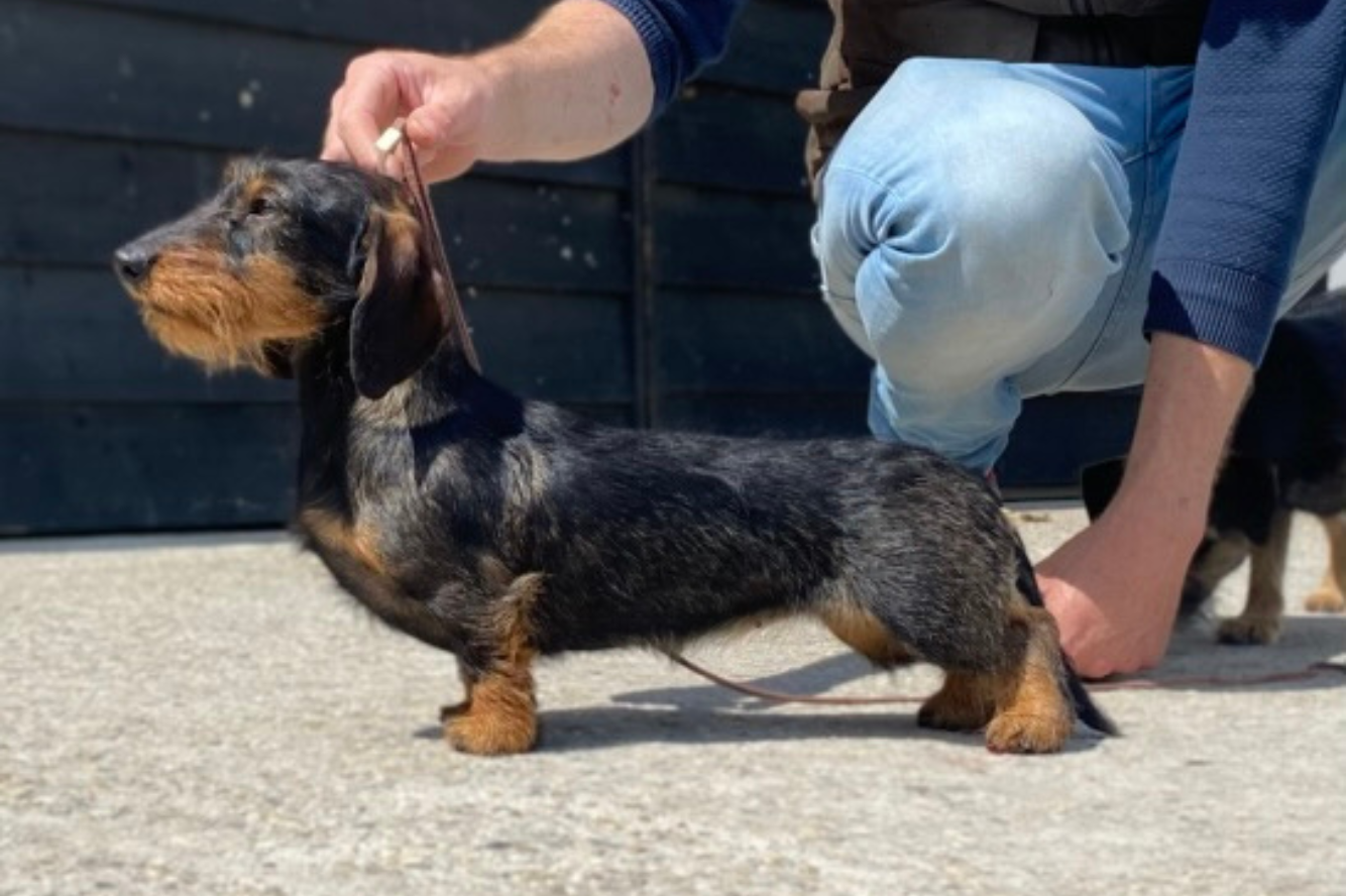 Debby van de Hoefstal