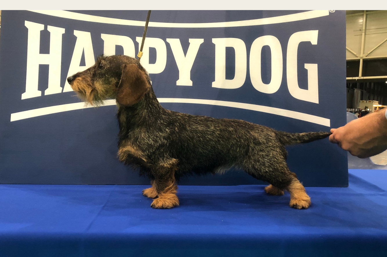 Esther van de Hoefstal