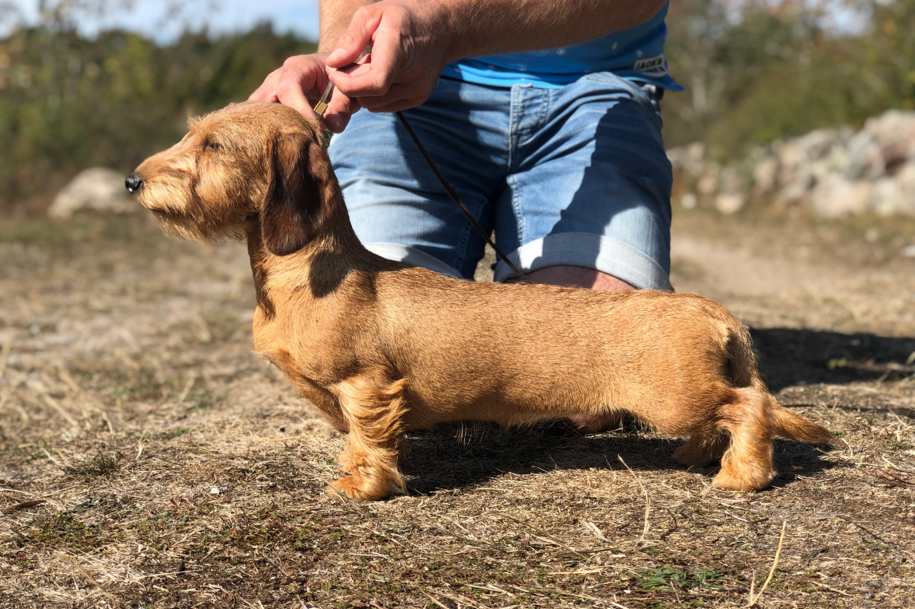 Maria van de Hoefstal