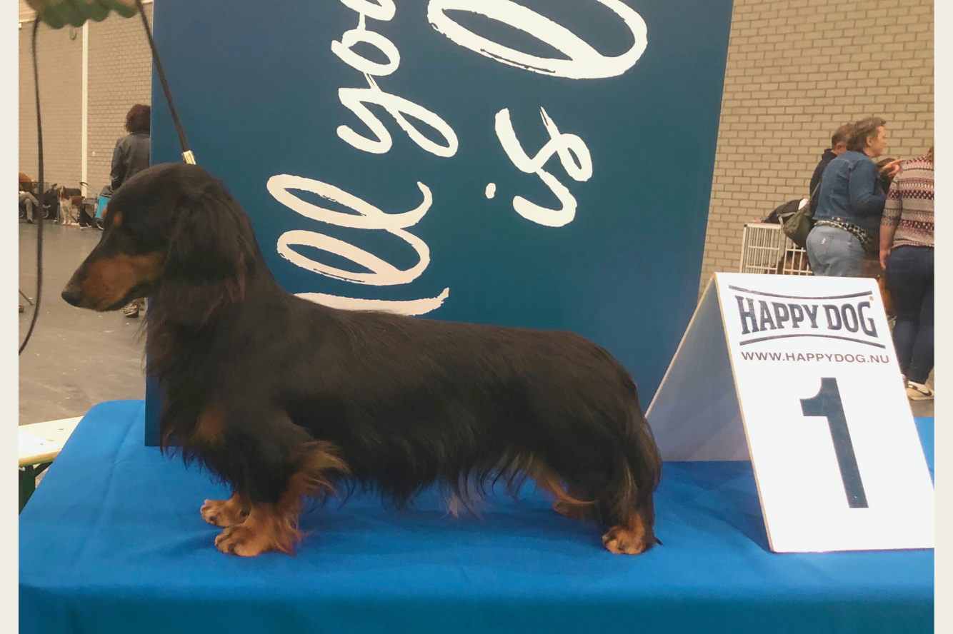 Finette van de Hoefstal