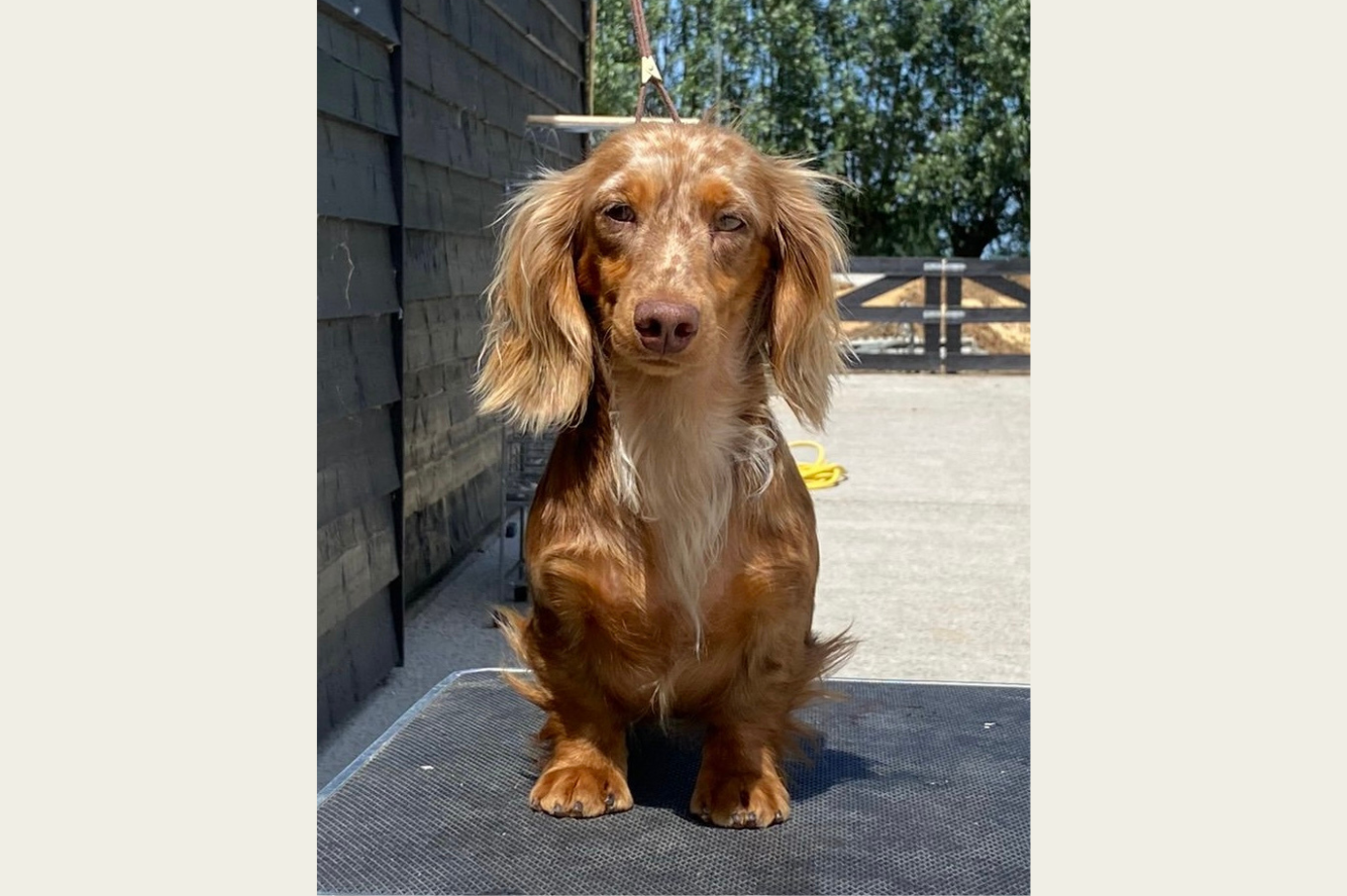 Melissa van de Hoefstal