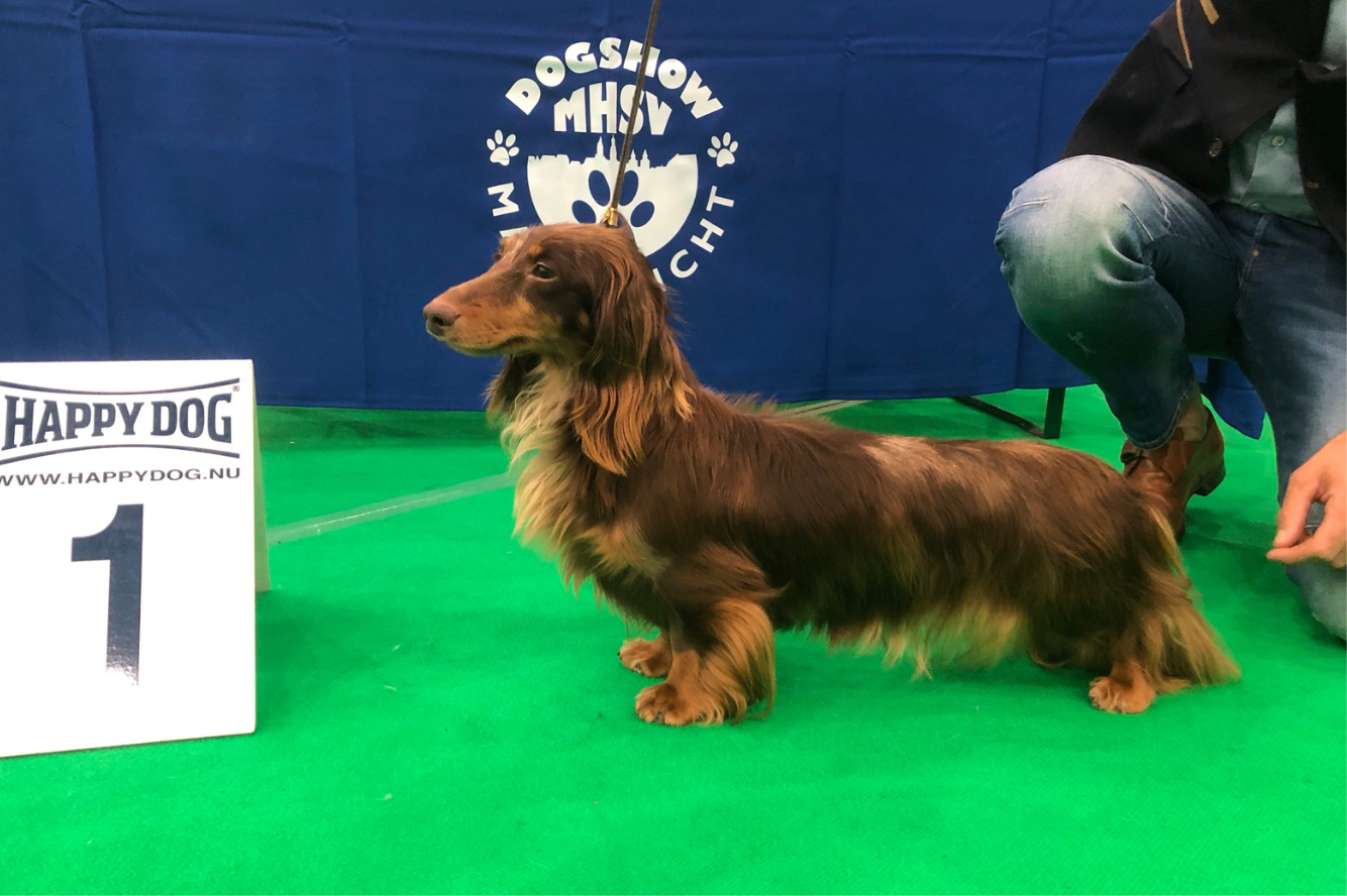 Thabitha van de Hoefstal