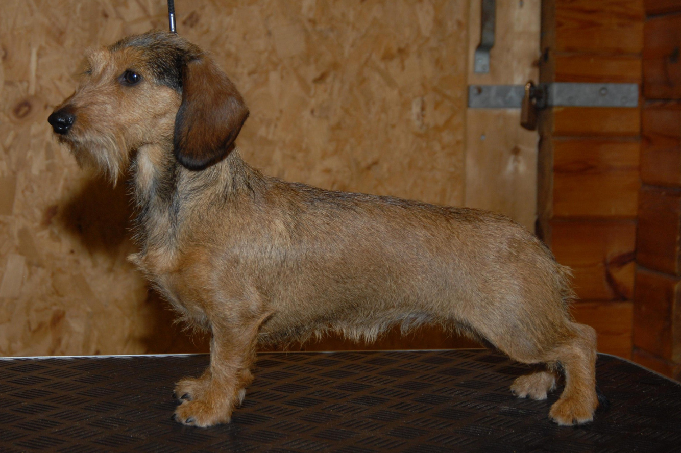 Josephine van de Hoefstal