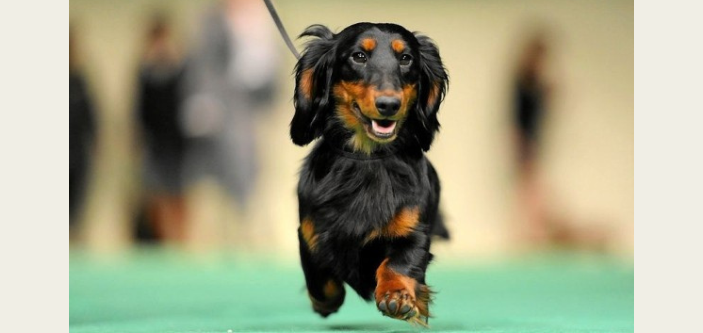 Raisa vd Hoefstal van de Hoefstal