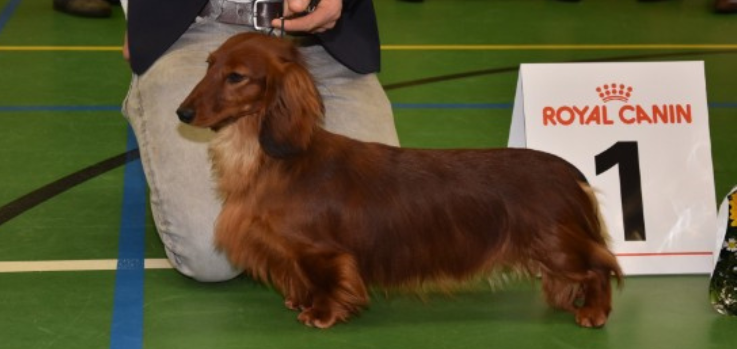 Yasmine vd Hoefstal van de Hoefstal
