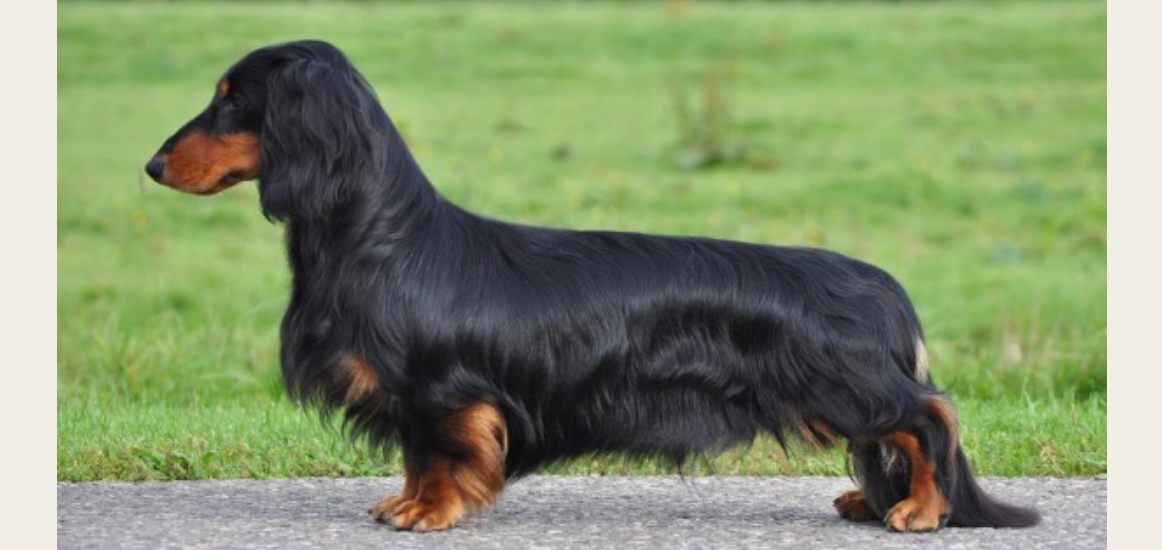 Luitenant Generaal vd Hoefstal van de Hoefstal