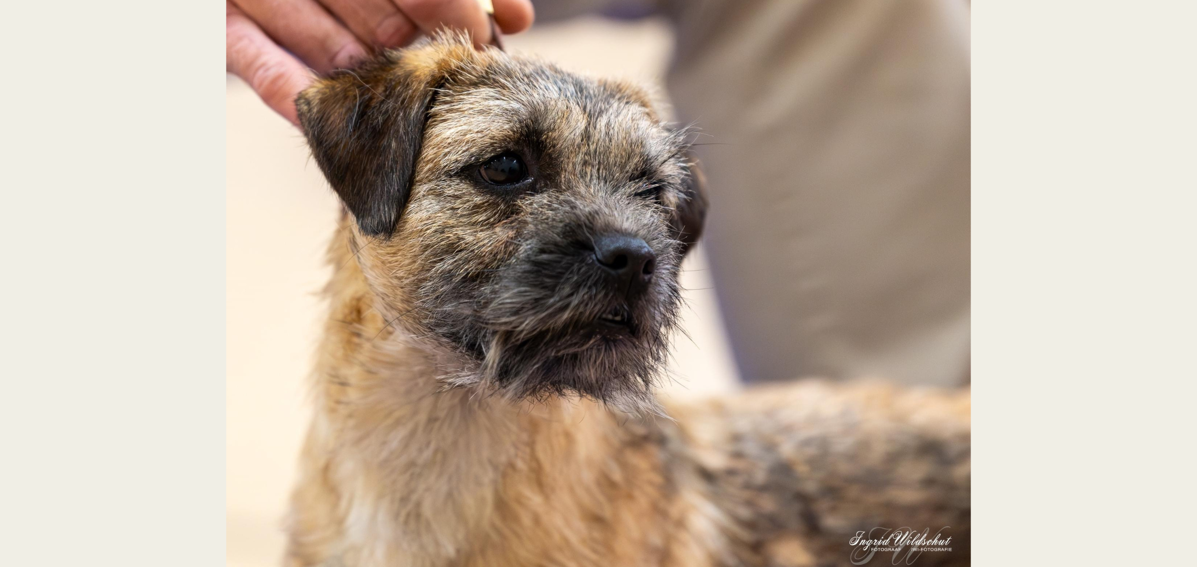 IvyBridge van de Laanhoeve