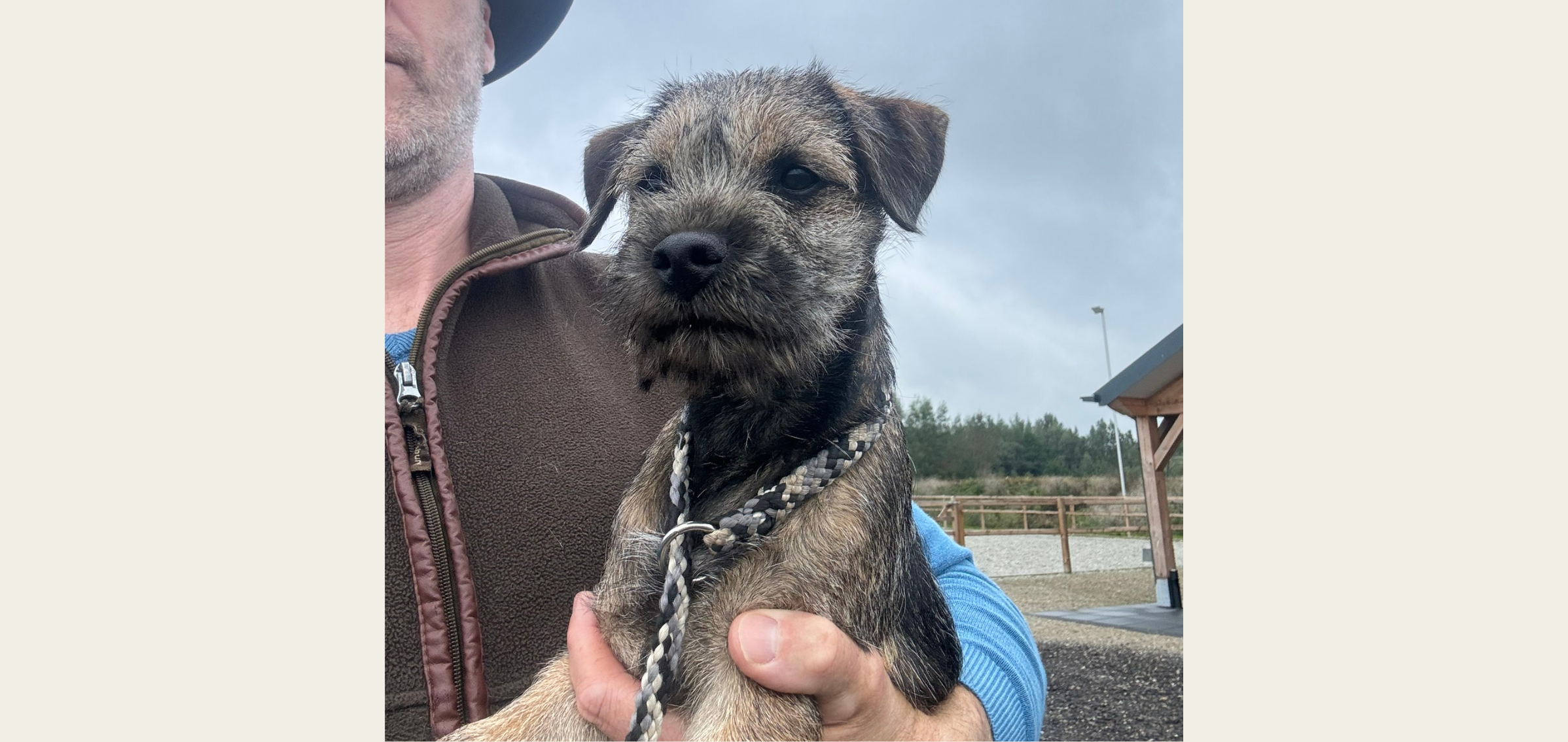 BingoBongo’s High Tove van de Laanhoeve