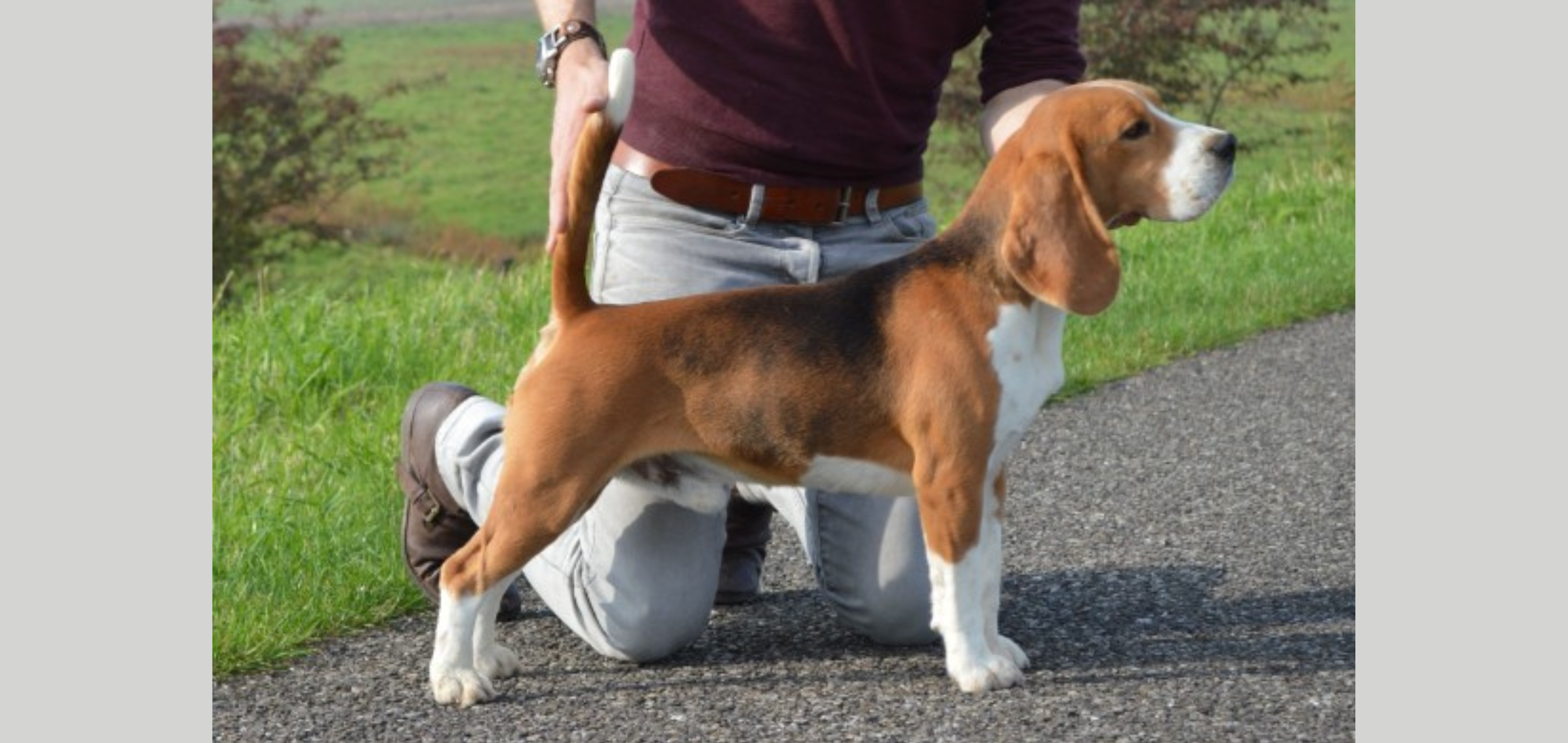 Sweet Courage Aleksei