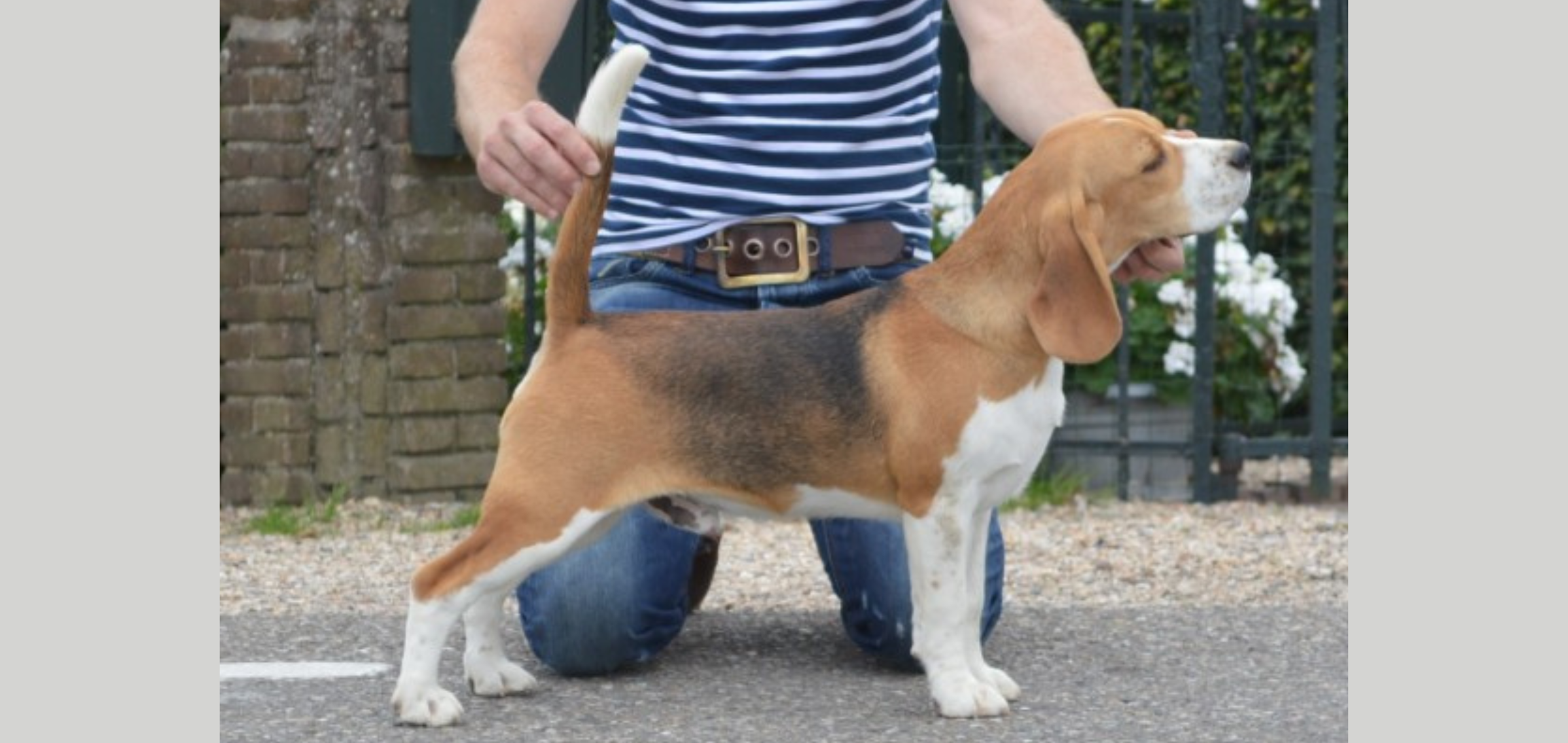 Wes Montgomery van de Hoefstal