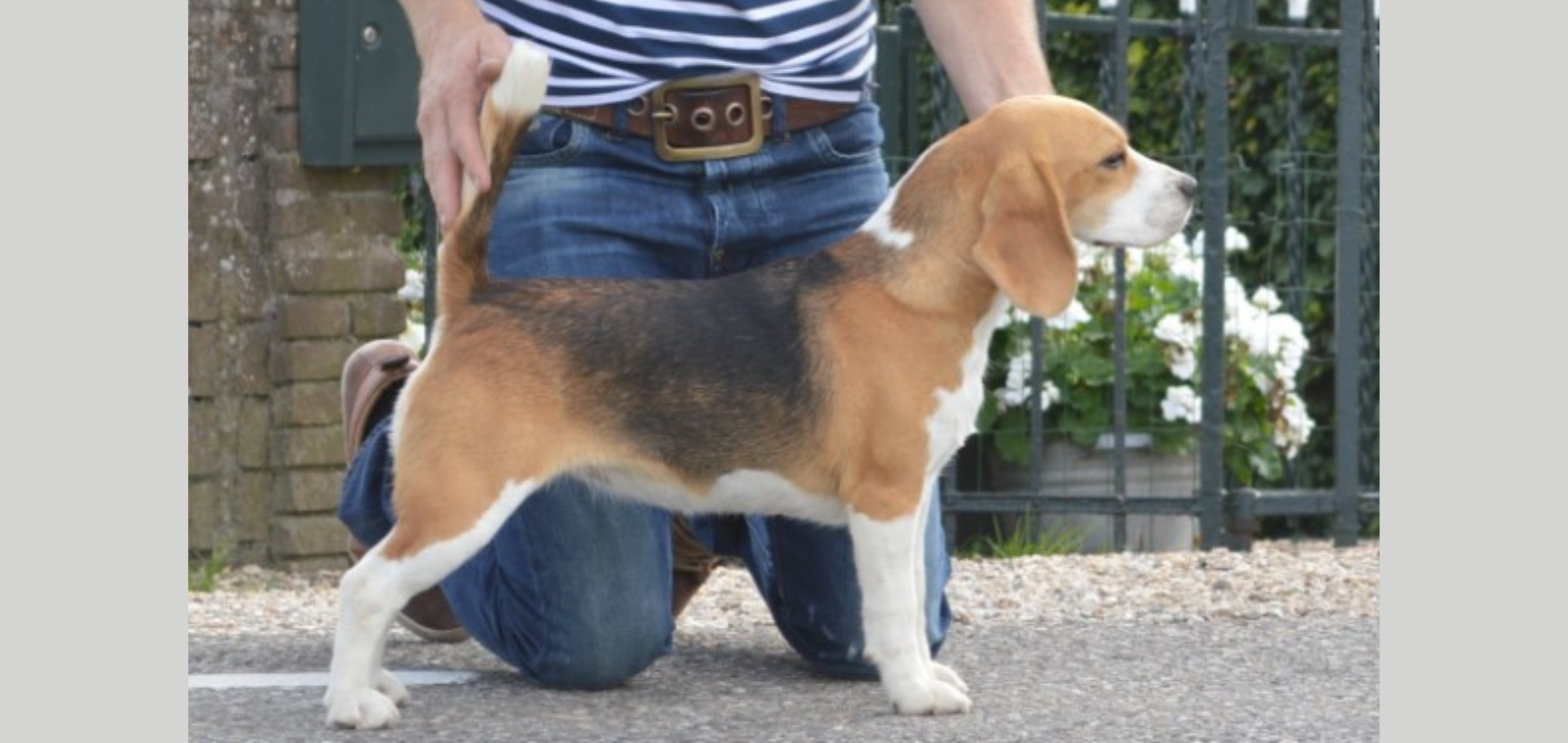 Quartz Chrystel van de Hoefstal
